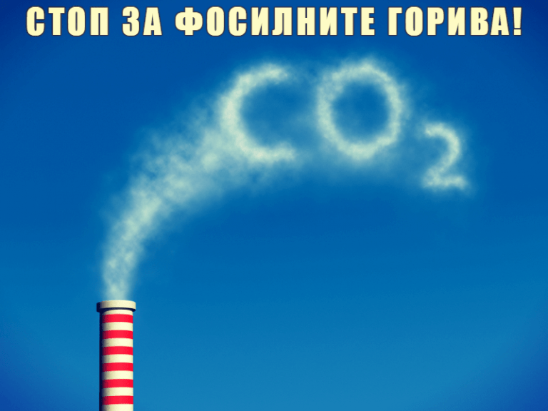 ДОМ на семинар со Европските Зелени гради изборна кампања