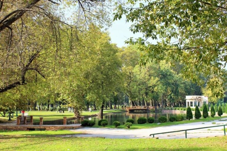 ДОМ: Зелениот катастар треба да води кон ревизија на урбанизмот во Скопје