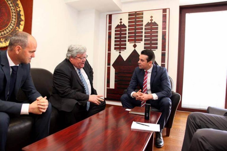 ДОМ: Поддршка од Европските Зелени за разврска на кризата