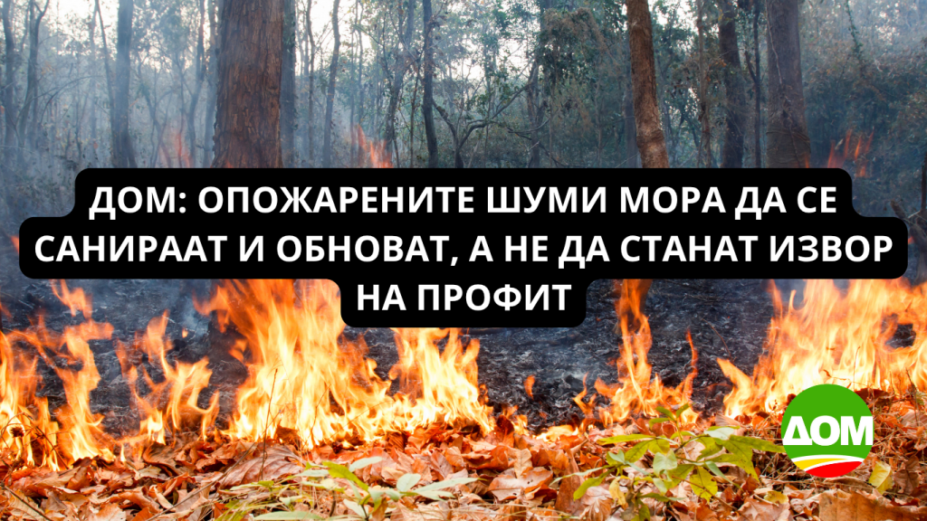 opozhareni povrshini 1